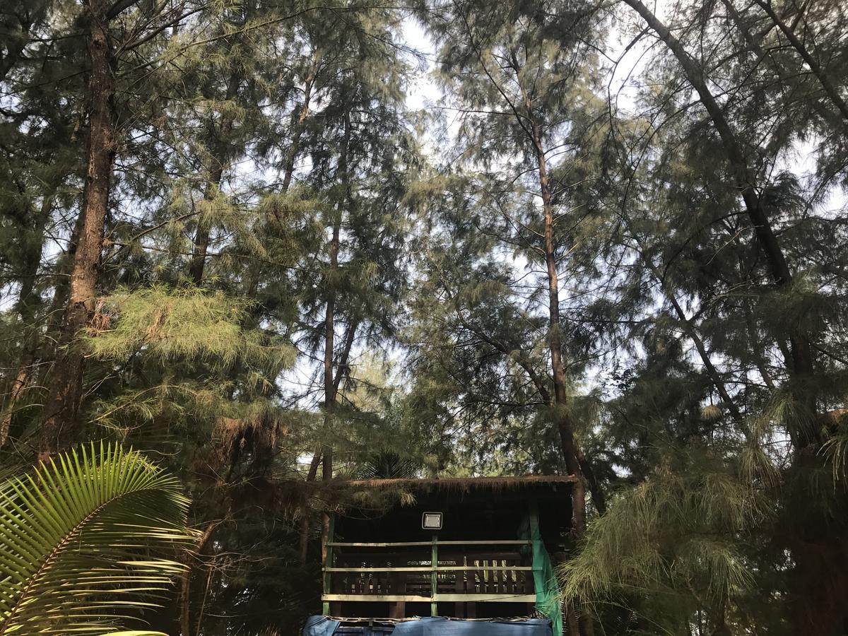 Nirvana Nature Hotel Gokarna  Ngoại thất bức ảnh
